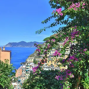 5 Terre For Semesterbostad Riomaggiore